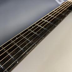 HISTORY NT-L3/Performance_5