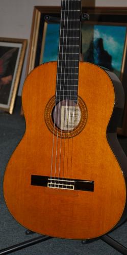 平井俊一 Shunichi Hirai　完全オーダー品　オール単板仕様