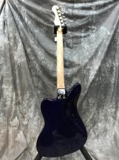 momose MC24-MV-TOCHI WSE 24/NJ Hydrangea Blue Burst_3