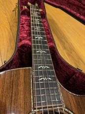 Taylor 914ce LTD Sinker Redwood_5