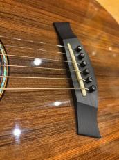 Taylor 914ce LTD Sinker Redwood_7