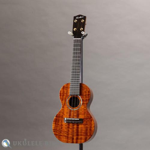 Ko'olau C-100 Concert UB 5th