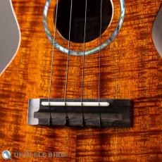 Ko'olau C-100 Concert UB 5th_3