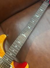 Paul Reed Smith [PRS] SE Custom 24  ～Vintage Yellow～ #G101331 [3.55kg]2024年製_4