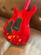 Paul Reed Smith [PRS] SE Custom 24  ～Vintage Yellow～ #G101331 [3.55kg]2024年製_6