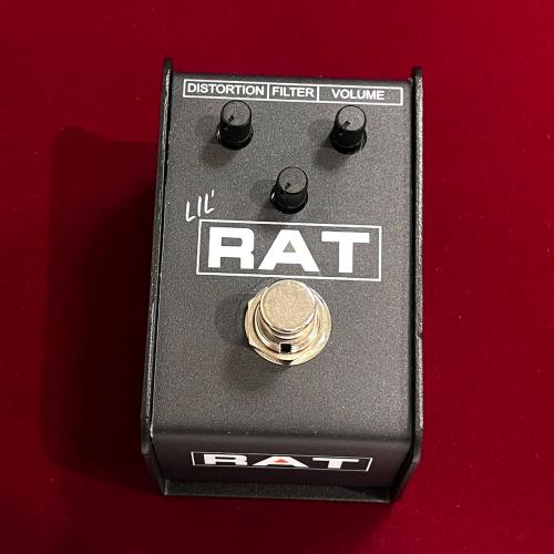 Pro Co LIL' RAT 【未展示在庫品】