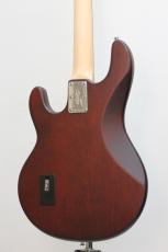 Sterling by MUSIC MAN SUB RAY4-WS-R1 WALNUT SATIN【ストラップ&クロスプレゼント中!】_3