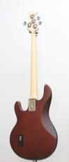 Sterling by MUSIC MAN SUB RAY4-WS-R1 WALNUT SATIN【ストラップ&クロスプレゼント中!】_4