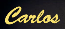 Carlos Amplification カルロス ピックアップ　Carlos　～VIP DM (DOUBLE MICRO)～_5