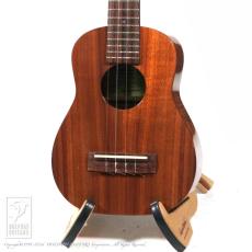 Yoshihiko Mori Signature Model