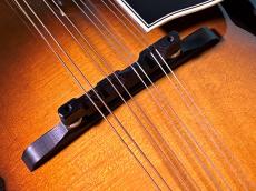 Gibson A-5L DANNY ROBERTS_10