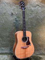Taylor Gold Label 810e Honduran Rosewood Natural #1210225066 【48回迄金利0%対象】【送料当社負担】_2