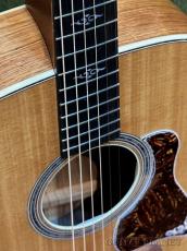 Taylor Gold Label 810e Honduran Rosewood Natural #1210225066 【48回迄金利0%対象】【送料当社負担】_3