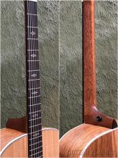 Taylor Gold Label 810e Honduran Rosewood Natural #1210225066 【48回迄金利0%対象】【送料当社負担】_8