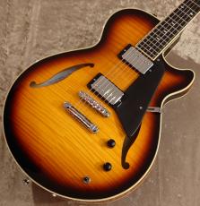 その他のフルアコ/セミアコ、サンバースト系の検索結果1～50件【楽器