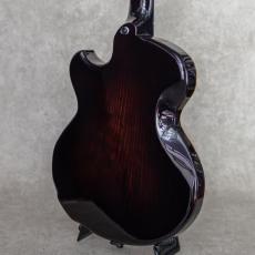 Victor Baker Guitars Model 14 Chambered Semi Hollow_6