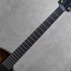 Victor Baker Guitars Model 14 Chambered Semi Hollow_7