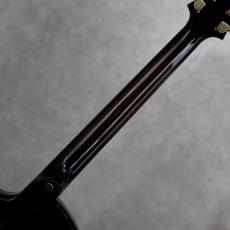 Victor Baker Guitars Model 14 Chambered Semi Hollow_8