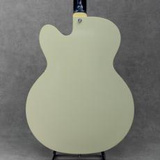 KING SNAKE Lester Black Bellied Yellow_3