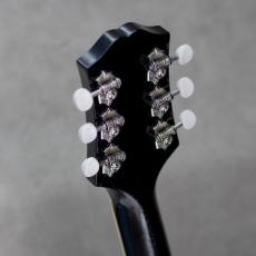 KING SNAKE Lester Black Bellied Yellow_10