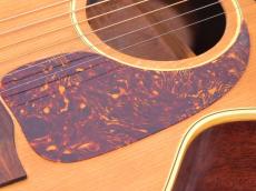 Gibson B-25 3/4 N '66_7