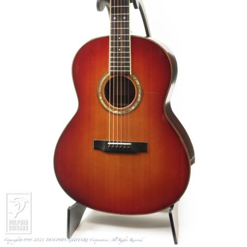 MANZER GUITARS The Manzer【デモ動画掲載】