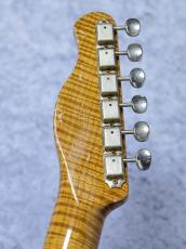 XOTiC XTC-1 Master Grade Flame Maple Neck Heavy Aged ~Lake Pracid Blue over Blue Paisley ~_8