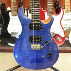 Paul Reed Smith [PRS] SE Custom 24-08