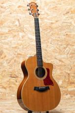 Taylor 214ce DLX 2014_3