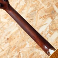 Taylor 214ce DLX 2014_7