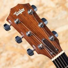 Taylor 214ce DLX 2014_8