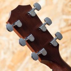 Taylor 214ce DLX 2014_9