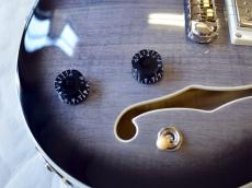 Paul Reed Smith [PRS] SE Hollowbody Ⅱ_5