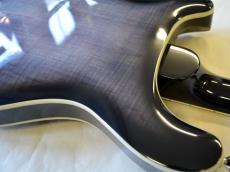 Paul Reed Smith [PRS] SE Hollowbody Ⅱ_13