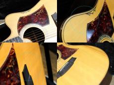 Cole Clark FL3AC-BR_5