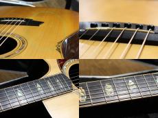 Cole Clark FL3AC-BR_7