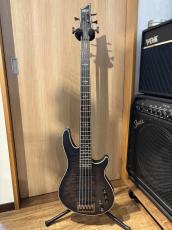 SCHECTER HELLRAIZER EXTREME-5