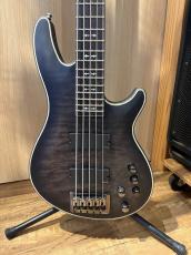 SCHECTER HELLRAIZER EXTREME-5_2