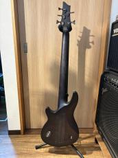SCHECTER HELLRAIZER EXTREME-5_4
