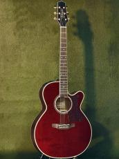 Takamine 【Wine Red Body!!!】DMP551C WR #62090382【国産エレアコ】_2
