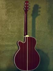 Takamine 【Wine Red Body!!!】DMP551C WR #62090382【国産エレアコ】_4