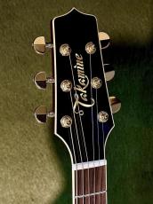 Takamine 【Wine Red Body!!!】DMP551C WR #62090382【国産エレアコ】_5