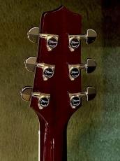 Takamine 【Wine Red Body!!!】DMP551C WR #62090382【国産エレアコ】_6