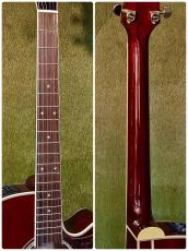Takamine 【Wine Red Body!!!】DMP551C WR #62090382【国産エレアコ】_7