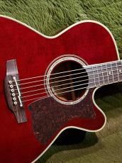 Takamine 【Wine Red Body!!!】DMP551C WR #62090382【国産エレアコ】_9