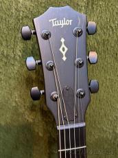 Taylor 【New Version!!】Builders Edition 324ce Next Generation #1212185015【Claria™搭載】_4