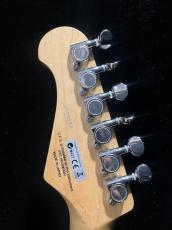 FUJIGEN NST5R_6