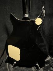 Epiphone DC Pro_4