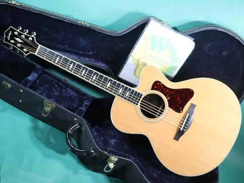 Collings SJ CUTAWAY