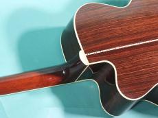 Collings SJ CUTAWAY_8